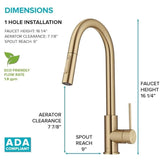 OLETTO Contemporary Brushed Gold Pull-Down Single Handle Kitchen Faucet