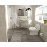 White SOLARE One Piece Toilet with Seat