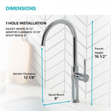 SELLETTE Chrome Single Handle Kitchen Faucet