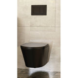 ARCO BLACK Wall Hung Toilet Complete