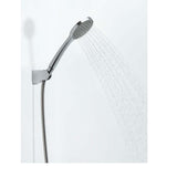 ALUVIA Chrome Hand Shower