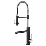 ARTEC PRO Commercial Style Pre-Rinse Kitchen Faucet in Spot Free Stainless Steel/Matte Black