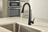 SLEEK Matte Black One-Handle High Arc Pulldown Kitchen Faucet